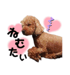 明石ブレイカーズのスタンプ第二弾！（個別スタンプ：20）
