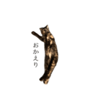 錆猫ちくわ（個別スタンプ：14）