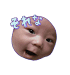 ほっこりエブリデイ（個別スタンプ：16）