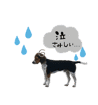 ウルラブ雲月（個別スタンプ：2）