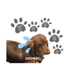 ウルラブ雲月（個別スタンプ：11）