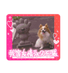 ぱぴぱぴパピヨン95（個別スタンプ：5）