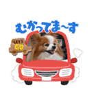 ぱぴぱぴパピヨン95（個別スタンプ：18）