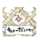 ふわねこ双璧閣下（個別スタンプ：36）