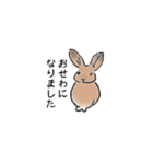 うさぎ それは自由（個別スタンプ：1）