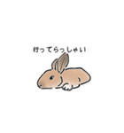 うさぎ それは自由（個別スタンプ：9）