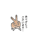 うさぎ それは自由（個別スタンプ：14）