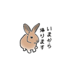 うさぎ それは自由（個別スタンプ：21）