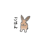 うさぎ それは自由（個別スタンプ：30）