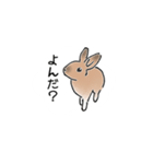 うさぎ それは自由（個別スタンプ：37）