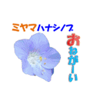 ミヤマの花（個別スタンプ：21）