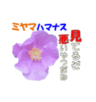 ミヤマの花（個別スタンプ：23）