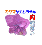 ミヤマの花（個別スタンプ：36）