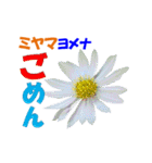 ミヤマの花（個別スタンプ：37）