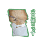 ポポとカリン 1（個別スタンプ：8）