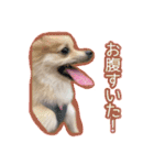 ポポとカリン 1（個別スタンプ：12）