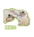 ポポとカリン 1（個別スタンプ：13）
