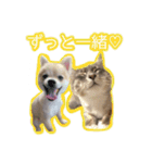 ポポとカリン 1（個別スタンプ：22）