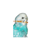 インコ「ルル」5（個別スタンプ：2）