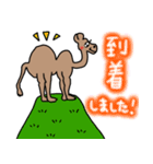 美脚なラクダちゃんのほんわかスタンプ（個別スタンプ：24）