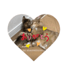 守田家のfamily LINEスタンプ（個別スタンプ：4）