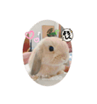 守田家のfamily LINEスタンプ（個別スタンプ：7）