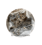 守田家のfamily LINEスタンプ（個別スタンプ：9）