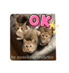 守田家のfamily LINEスタンプ（個別スタンプ：10）
