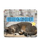 守田家のfamily LINEスタンプ（個別スタンプ：12）