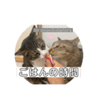 守田家のfamily LINEスタンプ（個別スタンプ：14）