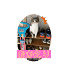 守田家のfamily LINEスタンプ（個別スタンプ：17）