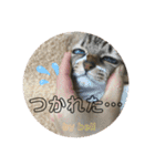 守田家のfamily LINEスタンプ（個別スタンプ：18）