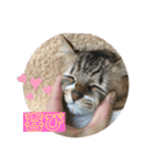 守田家のfamily LINEスタンプ（個別スタンプ：19）