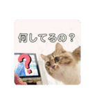 守田家のfamily LINEスタンプ（個別スタンプ：23）