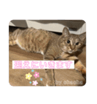 守田家のfamily LINEスタンプ（個別スタンプ：25）