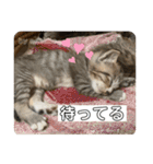 守田家のfamily LINEスタンプ（個別スタンプ：27）