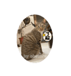 守田家のfamily LINEスタンプ（個別スタンプ：29）