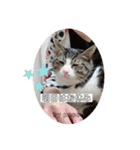 守田家のfamily LINEスタンプ（個別スタンプ：30）