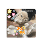 守田家のfamily LINEスタンプ（個別スタンプ：31）