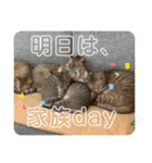 守田家のfamily LINEスタンプ（個別スタンプ：35）