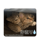 守田家のfamily LINEスタンプ（個別スタンプ：37）