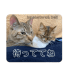 守田家のfamily LINEスタンプ（個別スタンプ：38）