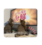 守田家のfamily LINEスタンプ（個別スタンプ：40）
