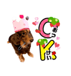 チョコ*（個別スタンプ：3）
