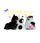 ねこちゃんno.1（個別スタンプ：17）