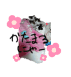 ねこちゃんno.1（個別スタンプ：18）