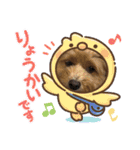 犬猫☆（個別スタンプ：7）