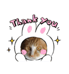 犬猫☆（個別スタンプ：17）