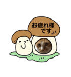 犬猫☆（個別スタンプ：19）