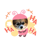 犬猫☆（個別スタンプ：23）